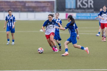 Bild 345 - wBJ Hamburger SV - FC Suederelbe : Ergebnis: 9:0